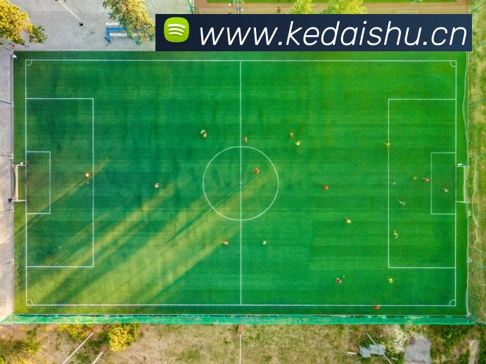 世界杯指定官网平台生态图